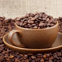 قهوه کلی باشرط تست