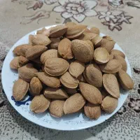 بادام سنگی و پرمغز