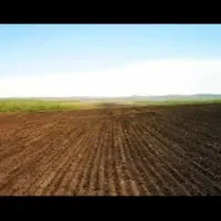 اجاره-زمین-کشاورزی