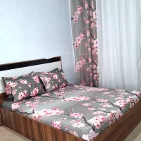 روتختی ارزون عمده و تک