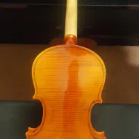 ویولن|ویولن|زاهدان, |دیوار