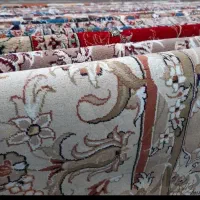 قالیشویی پاییز|خدمات نظافت|گنبد کاووس, |دیوار