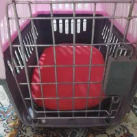 باکس سگ