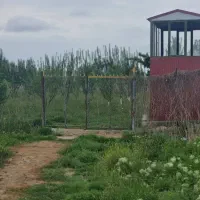 شهر اصلاندوز روستای حاجیلو