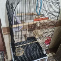 قفس برای فروشی عدد قفس پرنده استفاده نشده درجه یک|لوازم جانبی حیوانات|بندر امام خمینی, |دیوار