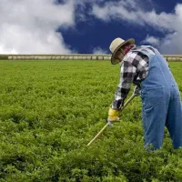 کود های ارگانیک برند سبوسیب
