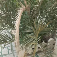 کمکی داربست بند