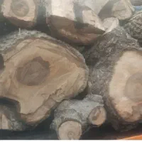 خریدار چوب