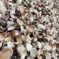 نظافت ساختمان