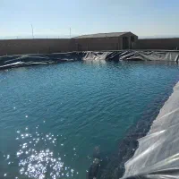 دامداری و سالن واستخر