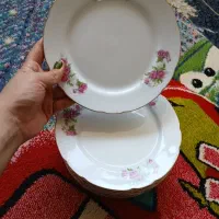 گل سرخی ۱۲عدد برنج خوری ژاپنی هست