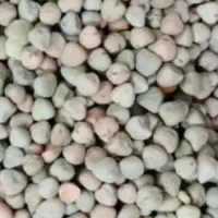 گاودانه درجه یک