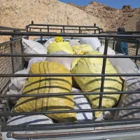 خرید فروش گردو از ضعیف گرفته تا خوب درجه یک|خوردنی و آشامیدنی|درب بهشت, |دیوار