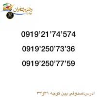 ۰۹۱۹۲۵۰۷۳۳۶