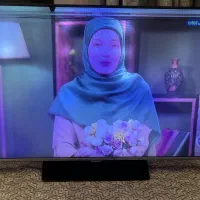 تلویزیون|تلویزیون و پروژکتور|چهارباغ, |دیوار