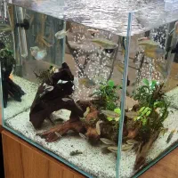 آکواریم  کامل