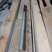 دار قالیچه