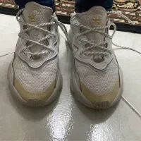 کتانی آدیداس ادیداس adidas