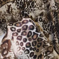 لباس مجلسی و مانتو|لباس|گناباد, |دیوار