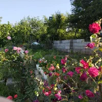 اجاره روزانه ویلا یسنا|اجارهٔ کوتاهمدت ویلا و باغ|تالش, طولارود|دیوار