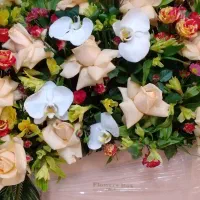 گل طبیعی|گل و گیاه طبیعی|تهران, مجیدآباد|دیوار