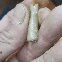 مهره و انگشتر قدیمی|کلکسیون اشیاء عتیقه|لنجان, |دیوار