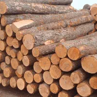 خرید چوب از کشاورزان عزیز