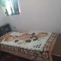 تخت یکنفره محکم (راش)|تخت و سرویس خواب|شیراز, شهرک والفجر|دیوار