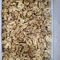 فروش انواع مغز گردو