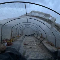 گلخانه فروشی