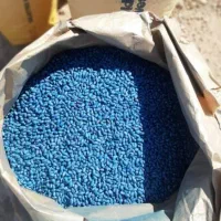 بذر پنبه لیدر یونانی