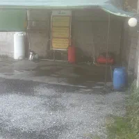 نیروی کارواش