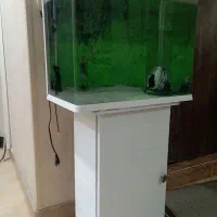 اکواریوم ماهی