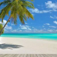 گشت جزیره و مراکز خرید قشم پژو پارس