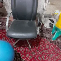 صندلی گردان دو عدد سالم