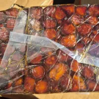 خرمای خاصویی جم کیفیت اعلا