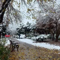 راهنمایی اسکان رایگان کنید