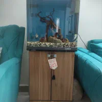 آکواریوم آب شیرین و شور با تجهیزات