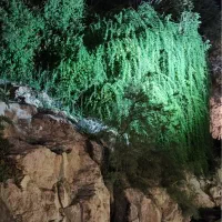 زمین قصر قمشه