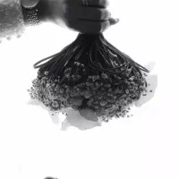 اتلیه فیلمبرداری و عکاسی تخصصی عروس|خدمات پذیرایی، مراسم|مشهد, طلاب|دیوار
