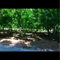سرمایه‌گذاری تجاری-ویلایی-آپارتمان-باغ-زمین با۵۰۰m|فروش آپارتمان|اندیشه, اندیشه فاز ۱|دیوار