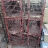 قفس جفت کن کبوتر