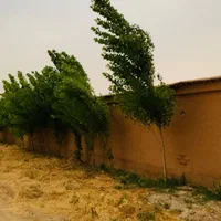 باغشهر قابل سکونت نزدیک به شیراز فقط ۲۰دقیقه|فروش خانه و ویلا|شیراز, داریون|دیوار