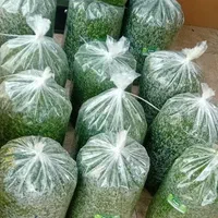 سبزی خرد شده  قرمه ، کوکو ، آش ، پلو ، سوپ|خوردنی و آشامیدنی|اسلام‌شهر, شهرک محمدیه|دیوار