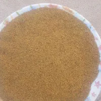 بذر قره یونجه