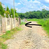 مشاعات این شهرک جنگل مازندران٪نگهبانی ۲۴ساعته