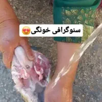تمیز‌کردن‌کله‌‌پاچه‌گوسفند‌وپاک‌کردن‌سیلاب‌شیردون|خوردنی و آشامیدنی|مشهد, ایثارگران|دیوار