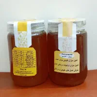عسل آزمایش شده (در آزمایشگاه دانشگاه شهید بهشتی)|خوردنی و آشامیدنی|تهران, فدک|دیوار