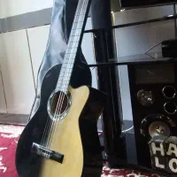 گیتار کلاسیک مارک دیاموند اصل