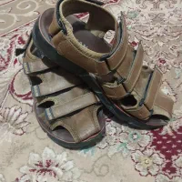 صندل|کیف، کفش، کمربند|زاهدان, |دیوار